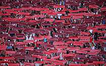 Fans von RB Leipzig (Archiv), &uuml;ber dts Nachrichtenagentur