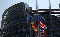 EU-Parlament in Straßburg (Archiv), über dts Nachrichtenagentur