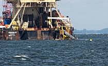 Castoro 10 beim Bau von Nord Stream 2 (Archiv), &uuml;ber dts Nachrichtenagentur