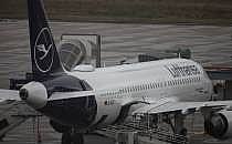 Lufthansa-Maschine (Archiv), über dts Nachrichtenagentur