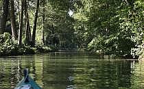 Spreewald (Archiv), über dts Nachrichtenagentur