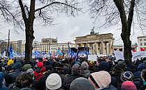 Demo gegen Waffenlieferungen im Februar 2023 in Berlin, &uuml;ber dts Nachrichtenagentur