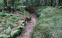 Sch&uuml;tzengraben aus dem 2. Weltkrieg (Archiv), &uuml;ber dts Nachrichtenagentur