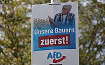 AfD-Wahlplakat zur Landtagswahl in Bayern 2023 (Archiv), &uuml;ber dts Nachrichtenagentur