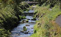 Fluss (Archiv), &uuml;ber dts Nachrichtenagentur