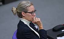 Alice Weidel (Archiv), &uuml;ber dts Nachrichtenagentur