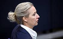 Alice Weidel (Archiv), &uuml;ber dts Nachrichtenagentur