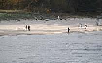 Strand (Archiv), &uuml;ber dts Nachrichtenagentur