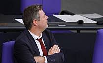 Robert Habeck (Archiv), &uuml;ber dts Nachrichtenagentur