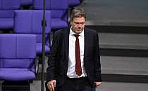 Robert Habeck (Archiv), &uuml;ber dts Nachrichtenagentur