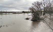 Hochwasserlage im Landkreis Mansfeld-S&uuml;dharz am 03.01.2024, &uuml;ber dts Nachrichtenagentur