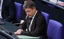 Robert Habeck (Archiv), &uuml;ber dts Nachrichtenagentur