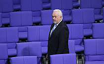Wolfgang Kubicki (Archiv), &uuml;ber dts Nachrichtenagentur