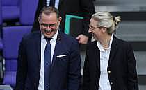 Tino Chrupalla und Alice Weidel (Archiv), &uuml;ber dts Nachrichtenagentur