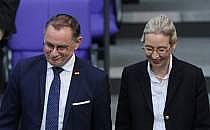 Tino Chrupalla und Alice Weidel (Archiv), über dts Nachrichtenagentur