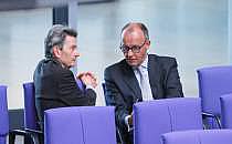 Rolf Mützenich und Friedrich Merz (Archiv), über dts Nachrichtenagentur