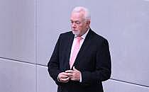 Wolfgang Kubicki (Archiv), &uuml;ber dts Nachrichtenagentur