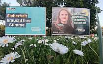 Wahlplakate zur Europawahl (Archiv), &uuml;ber dts Nachrichtenagentur
