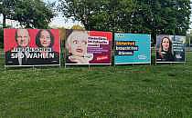 Wahlplakate zur Europawahl und Kommunalwahl in Sachsen-Anhalt (Archiv), über dts Nachrichtenagentur