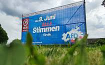 AfD-Wahlplakat in Mecklenburg-Vorpommern (Archiv), &uuml;ber dts Nachrichtenagentur