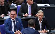 Tino Chrupalla und Alice Weidel am 05.06.2024, &uuml;ber dts Nachrichtenagentur