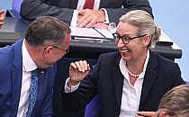 Tino Chrupalla und Alice Weidel (Archiv), über dts Nachrichtenagentur