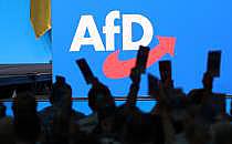 AfD-Logo am 29.06.2024, über dts Nachrichtenagentur