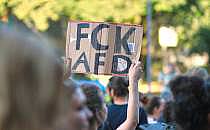 Protest gegen die AfD (Archiv), &uuml;ber dts Nachrichtenagentur