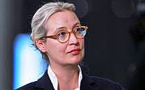 Alice Weidel (Archiv), &uuml;ber dts Nachrichtenagentur