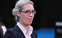 Alice Weidel (Archiv), &uuml;ber dts Nachrichtenagentur