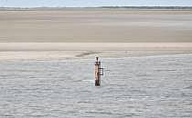 Dalbe in der Nordsee (Archiv), &uuml;ber dts Nachrichtenagentur