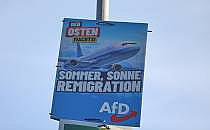 AfD-Wahlplakat zur Landtagswahl in Th&uuml;ringen (Archiv), &uuml;ber dts Nachrichtenagentur
