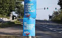 AfD-Wahlplakate zur Landtagswahl in Sachsen (Archiv), &uuml;ber dts Nachrichtenagentur