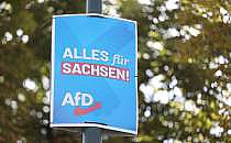 AfD in Saxony and Thuringia