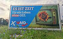 AfD-Wahlplakat zur Landtagswahl in Brandenburg (Archiv), über dts Nachrichtenagentur