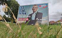 AfD-Wahlplakat mit Hans-Christoph Berndt zur Landtagswahl in Brandenburg (Archiv), über dts Nachrichtenagentur