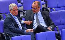 Norbert R&ouml;ttgen und Friedrich Merz (Archiv), &uuml;ber dts Nachrichtenagentur