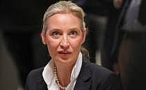 Alice Weidel (Archiv), über dts Nachrichtenagentur