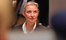 Alice Weidel (Archiv), über dts Nachrichtenagentur