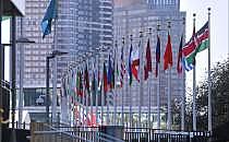 Fahnen von der den Vereinten Nationen (Archiv), &uuml;ber dts Nachrichtenagentur