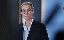 Alice Weidel (Archiv), über dts Nachrichtenagentur