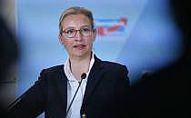 Alice Weidel am 07.11.2024, über dts Nachrichtenagentur