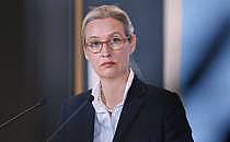 Alice Weidel (Archiv), über dts Nachrichtenagentur