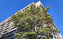 Internationaler Währungsfonds (Archiv), über dts Nachrichtenagentur