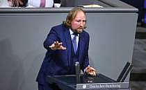 Anton Hofreiter (Archiv), &uuml;ber dts Nachrichtenagentur