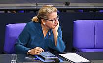 Svenja Schulze (Archiv), &uuml;ber dts Nachrichtenagentur