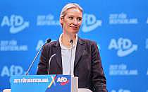 Alice Weidel am 11.01.2025, über dts Nachrichtenagentur