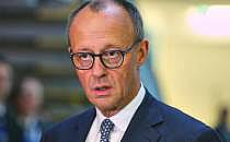 Friedrich Merz am 17.01.2025, &uuml;ber dts Nachrichtenagentur