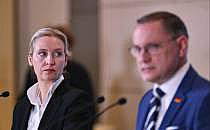 Alice Weidel und Tino Chrupalla (Archiv), &uuml;ber dts Nachrichtenagentur
