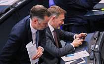 Christian D&uuml;rr und Christian Lindner im alten Bundestag (Archiv), &uuml;ber dts Nachrichtenagentur